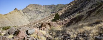 wandern mit Blick auf den Roque Faneque im Naturpark Tamadaba