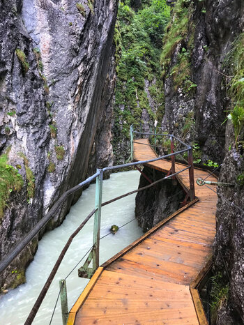 Vegetation an den Felswänden der Leutascher Geisterklamm