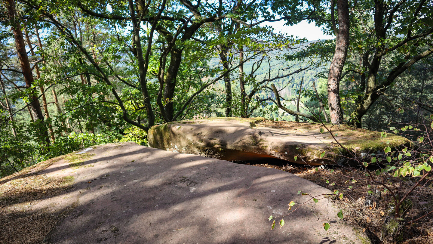 Flaches Buntsandsteinplateau mit überhängender Felsplatte am Häuselstein, dahinter Durchblick durch Eichen auf bewaldete Hügel