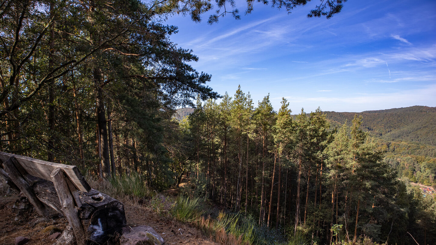 Rustikale Holzbank am Rastplatz Häuselstein, dahinter hohe Kiefern und Blick auf bewaldete Bergrücken unter blauem Himmel