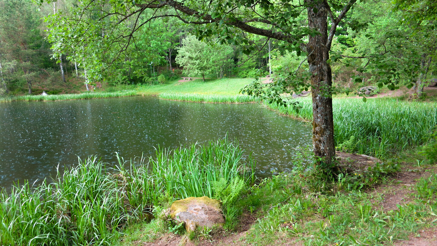 der Sankenbach See