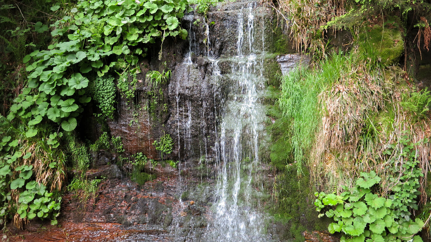 Fallstufe des Sankenbach Wasserfalls
