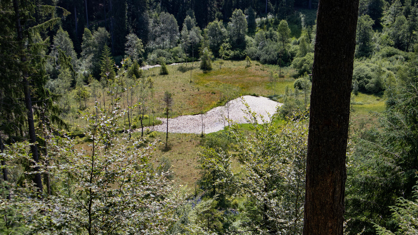 Blick auf den Ellbachsee entlang des Abstiegspfads