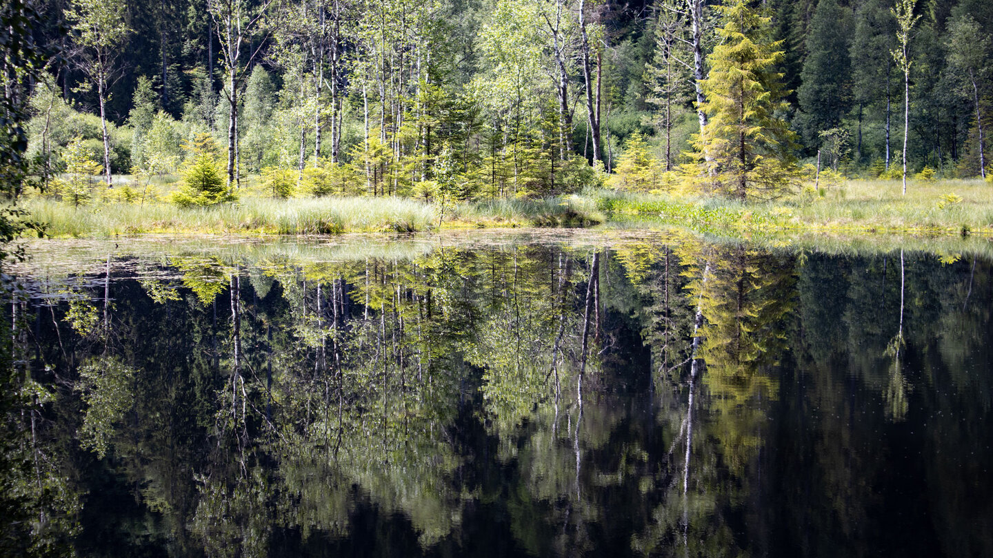 traumhafte Spiegelung auf dem ruhigen Wasser des Karsees