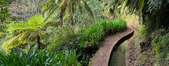 wie eine Lebensader schlängelt sich die Levada do Rei an den Hängen entlang