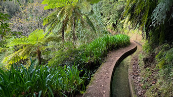 wie eine Lebensader schlängelt sich die Levada do Rei an den Hängen entlang