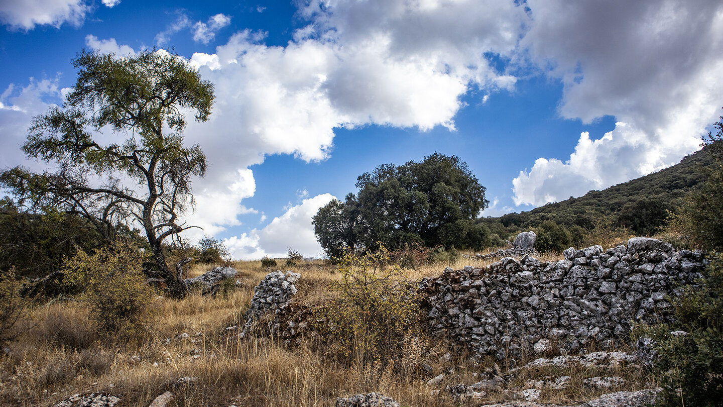 Steinmauern zeugen von aufgegebenen Kulturlandschaften