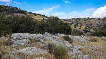 Tal des Río Bailón