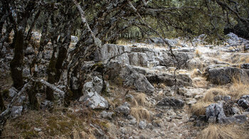 Trockenbachlauf des Arroyo de Fuenseca