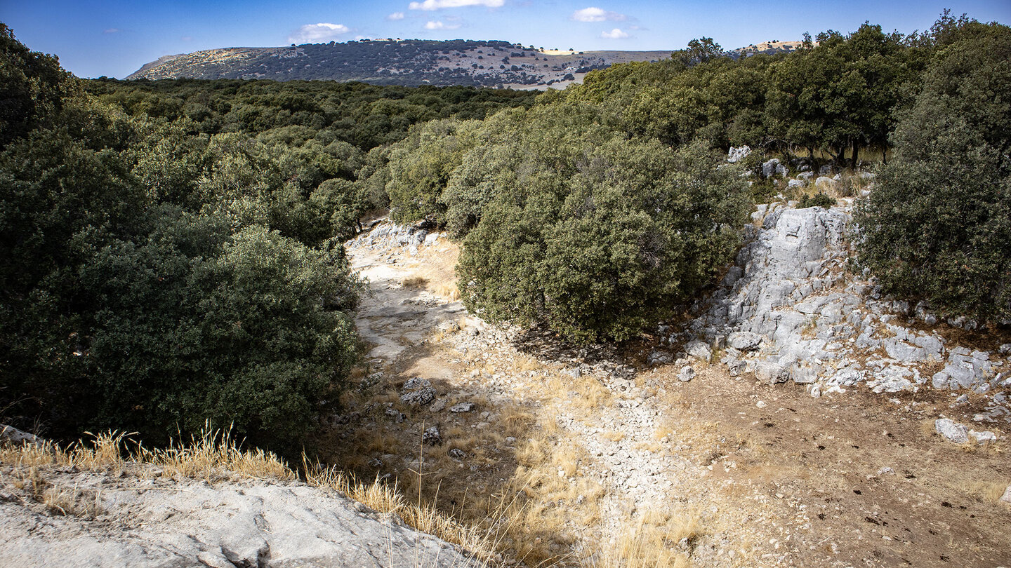 Arroyo de la Fuenseca