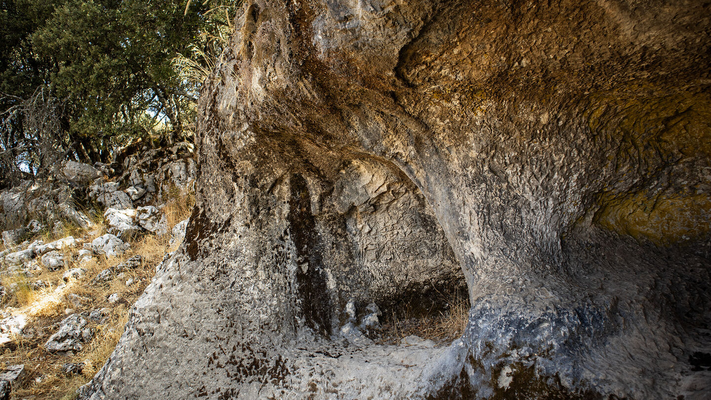 Aushöhlungen in den Kalkfelsen der Las Chorreras