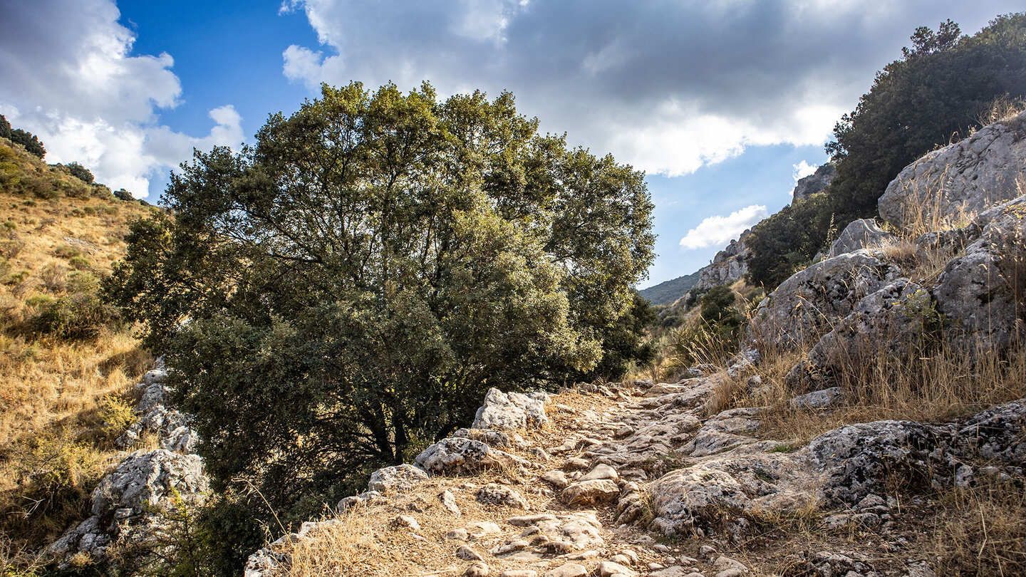 Wanderweg in Schlucht des Río Bailón