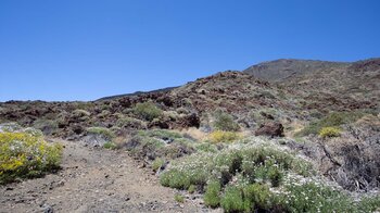 Sendero 28 mit Blick auf den unscheinbar wirkenden Pico Viejo