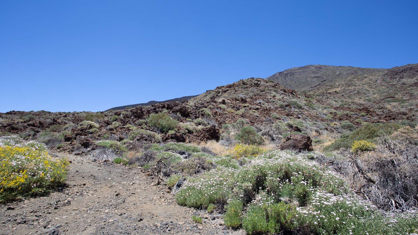 Sendero 28 mit Blick auf den unscheinbar wirkenden Pico Viejo