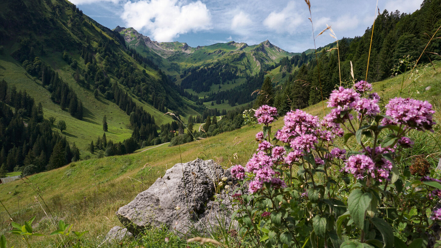 Panoramablick ins Obertal in den Allgäuer Hochalpen Obertal in den Allgäuer Hochalpen