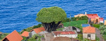 der malerische Ort El Tablado auf La Palma liegt oberhalb vom Barranco Fagundo