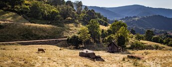 Panorama im Kauersbachtal bei Gausbach