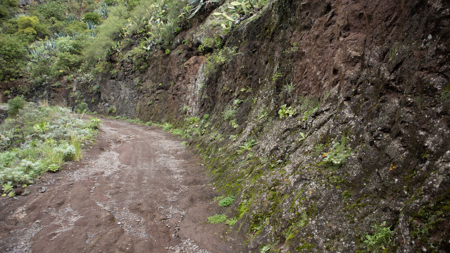 Wanderung über die Pista de Tomadero