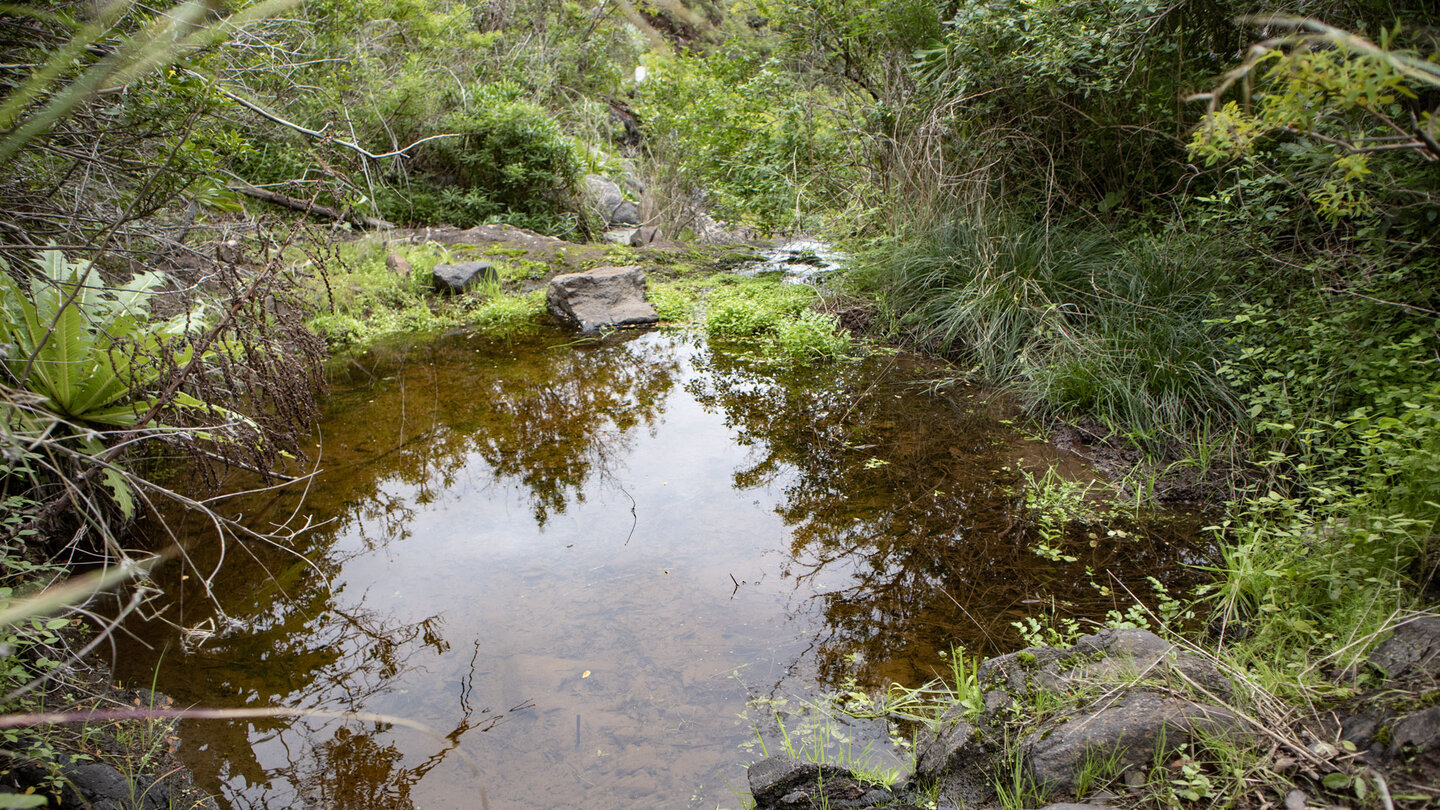 Wasserlauf im Barranco de Tahido