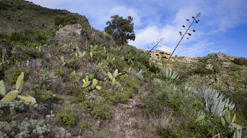 Wanderpfad im Valle Luis