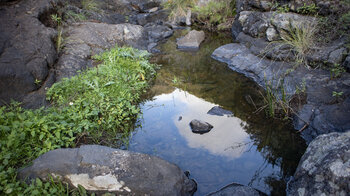 Bachlauf am Grund des Valle Luis