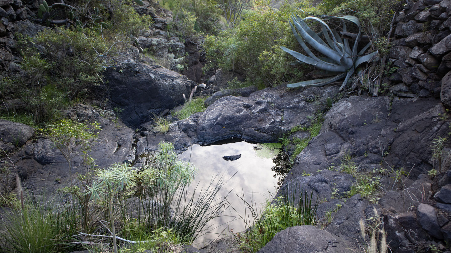 vereinzelte Wasserbecken im steinigen Bachlauf