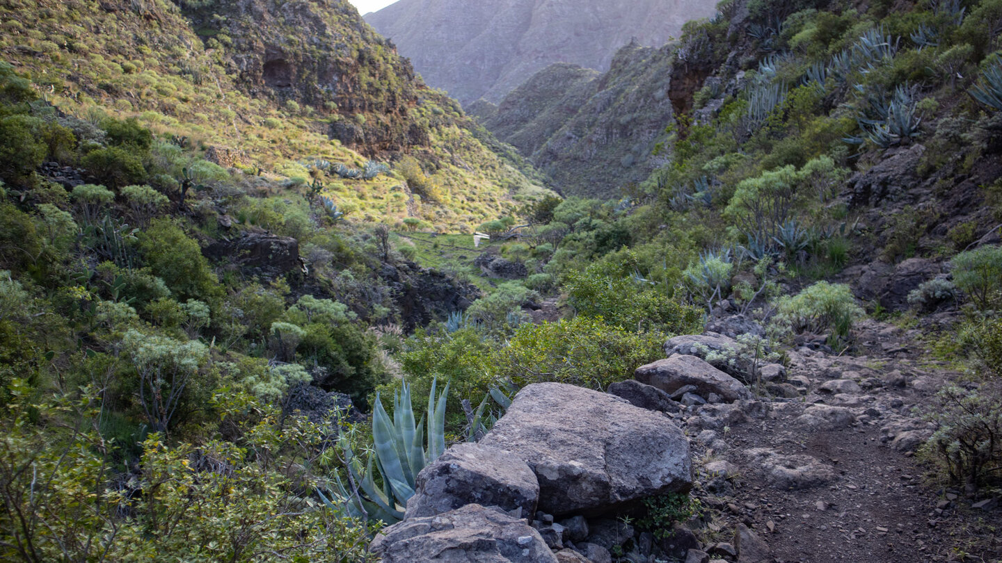 Blick entlang des wildromantischen Valle Luis