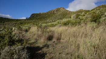 Wanderpfad oberhalb des Stausees