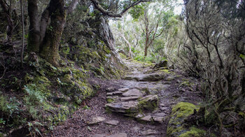 malerischer Wanderweg entlang der Bergrücken des Anaga