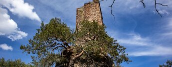 Blick zum hoch aufragendem Turm der Burg Waldeck