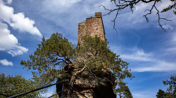 Blick zum hoch aufragendem Turm der Burg Waldeck
