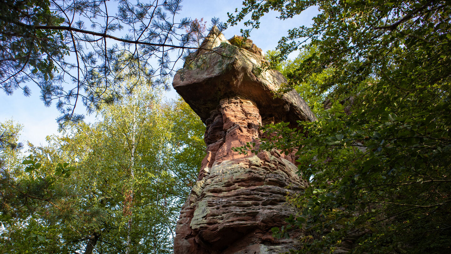 Wanderung am langezogenen Sandsteinriff zur Burgruine Ramstein Wanderung am Sandsteinriff zur Burgruine Ramstein
