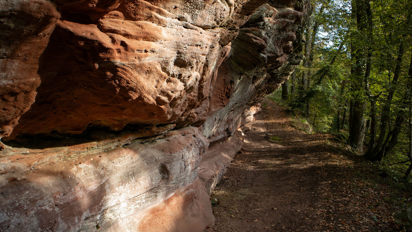 die Wanderroute entlang des Burgfelsens des Château du Ramstein Burgfels des Château du Ramstein