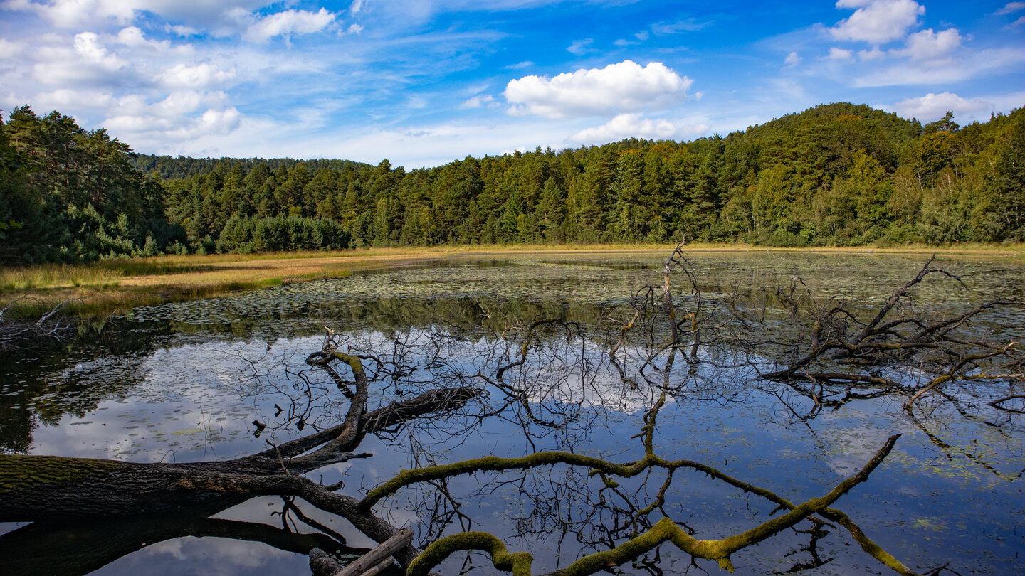 Blick vom Wanderweg über den Étang du Waldeck