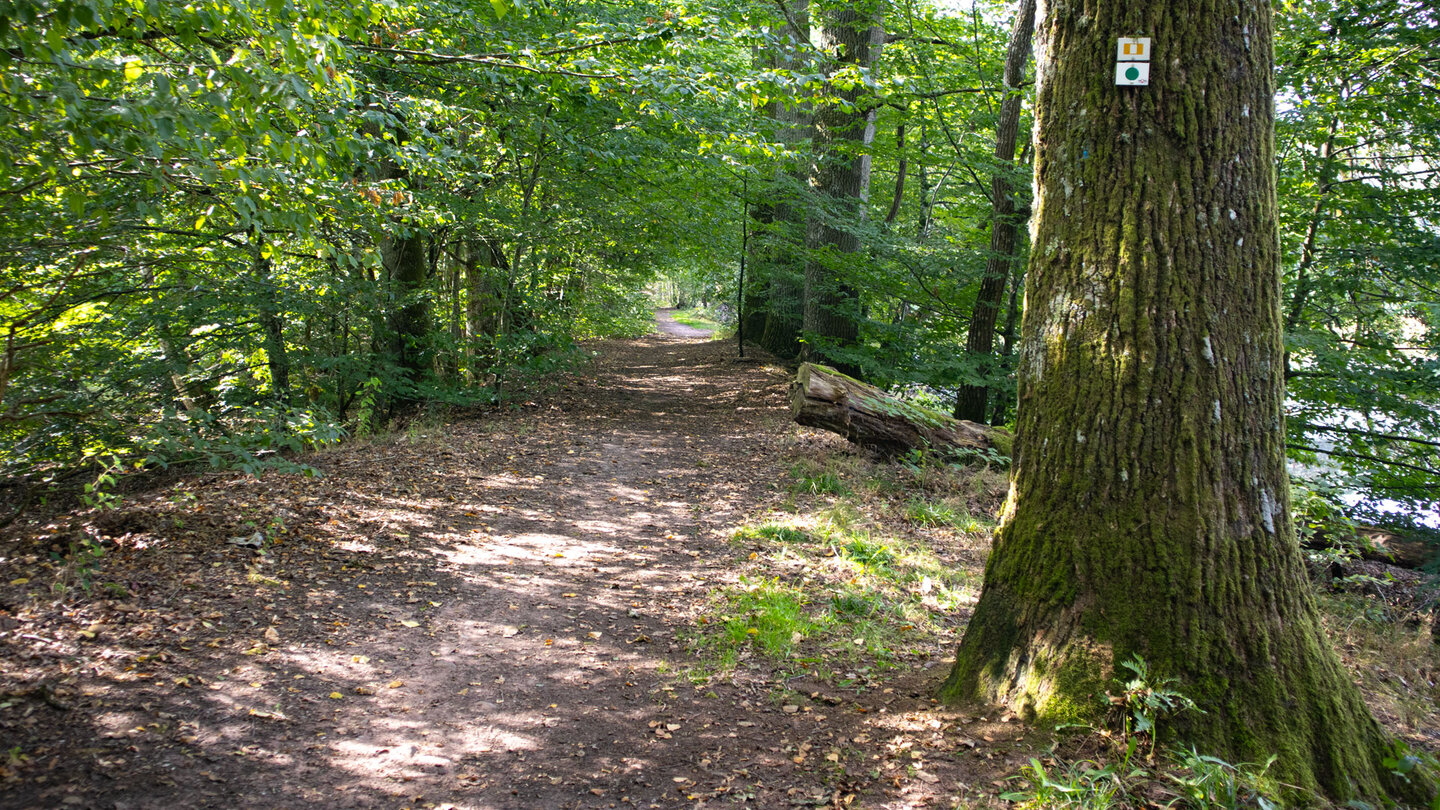 der Wanderweg führt am Ufer des Étang du Waldeck entlang der Wanderweg führt am Ufer des Étang du Waldeck entlang