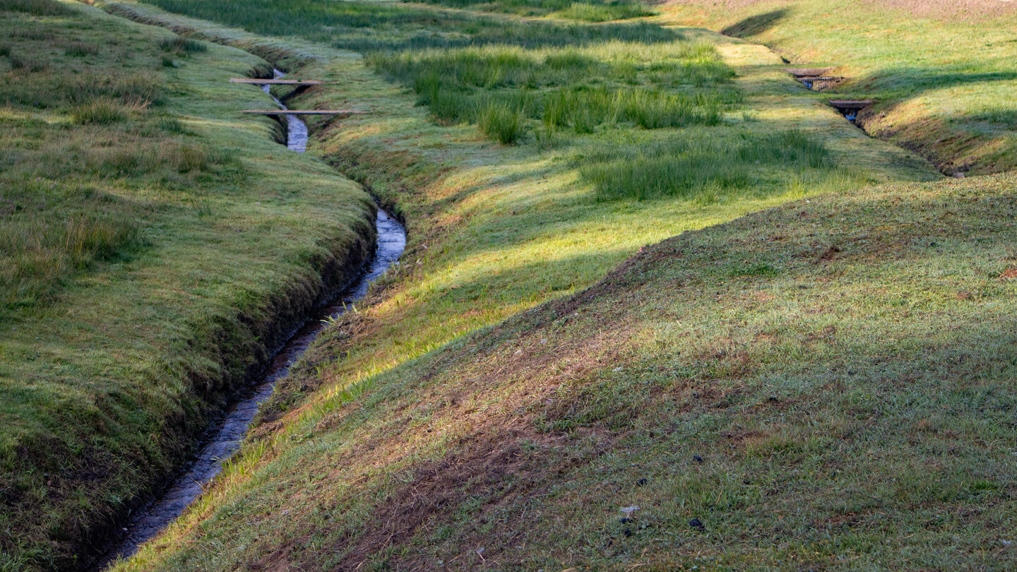 idyllische Wiesenbäche oberhalb des Baerenthaler Weiers Wiesenbäche am Baerenthaler Weier