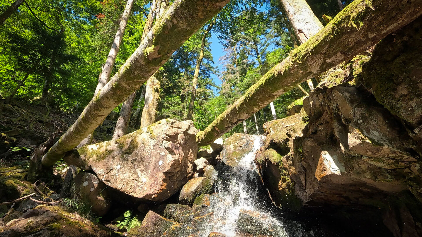 wild braust das Wasser an den oberen Fallstufen des Wasserfalls Cascade du Bockloch an den oberen Fallstufen des Wasserfalls Cascade du Bockloch