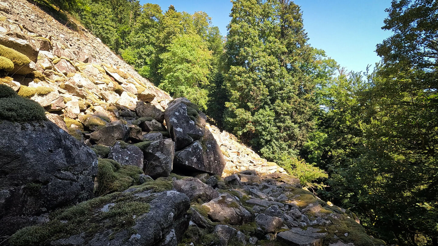 der Wanderweg führt zu einer Felsblockhalde der Wanderweg führt zu einer Blockhalde