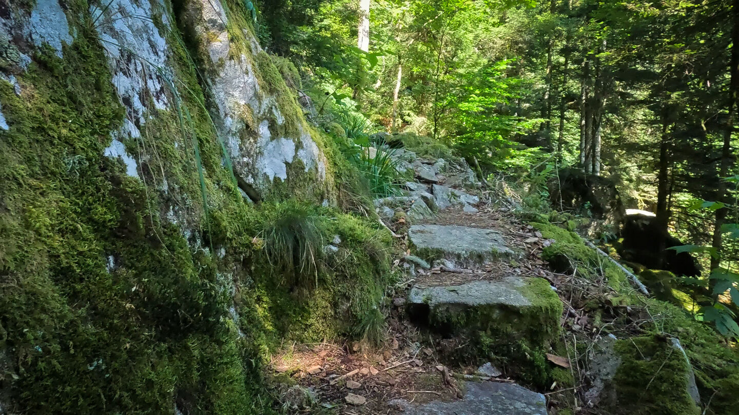 felsige Stufen auf der Wanderroute Felsstufen auf der Wanderroute
