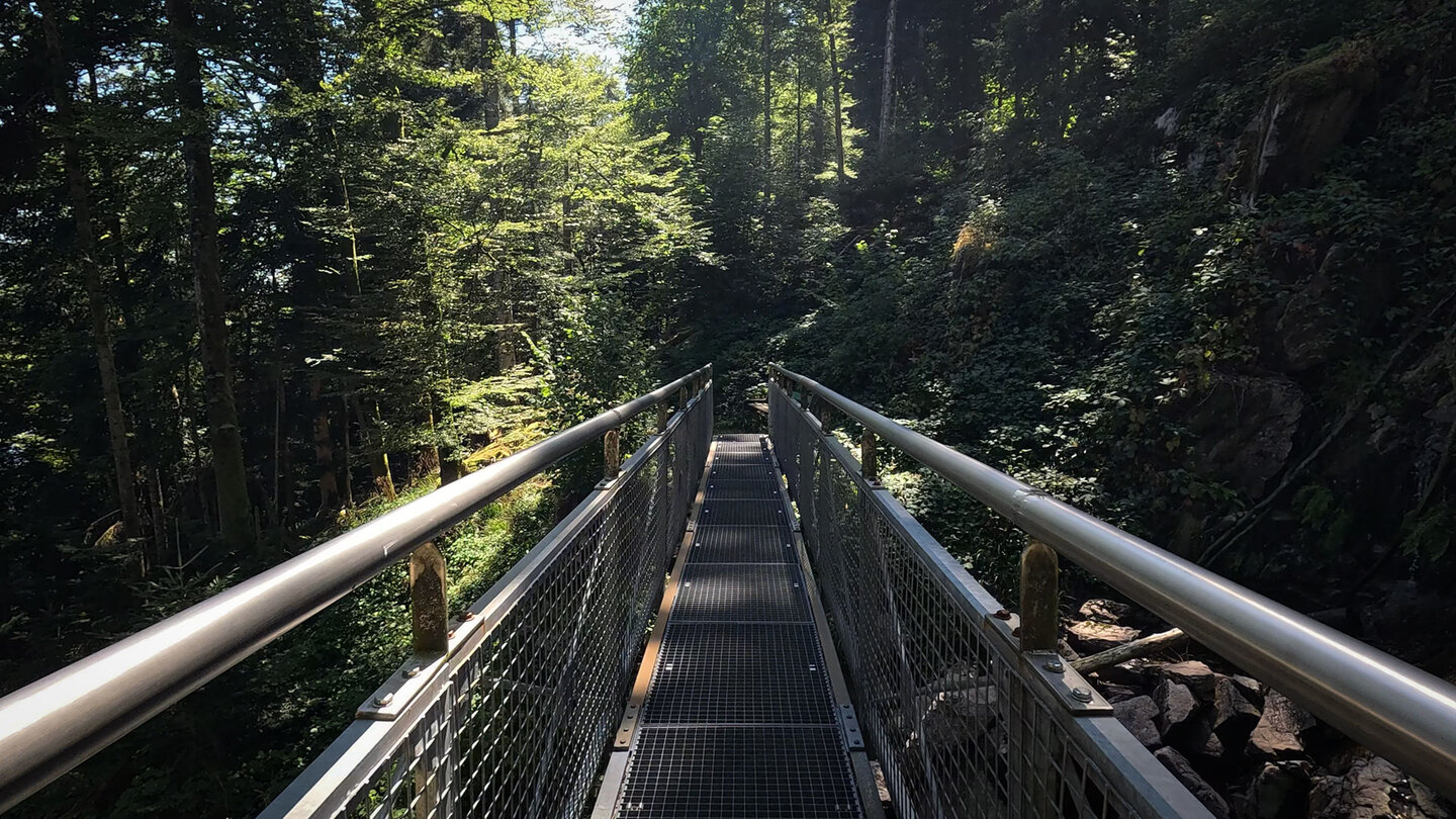 schmale Metallbrücke über den Bach Heildebeerenlochrunz Metallbrücke über den Bach Heildebeerenlochrunz