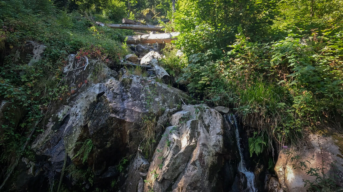 auch am Bach Heidelbeerenloch gibt es einen Wasserfall Wasserfall am Bach Heidelbeerenloch