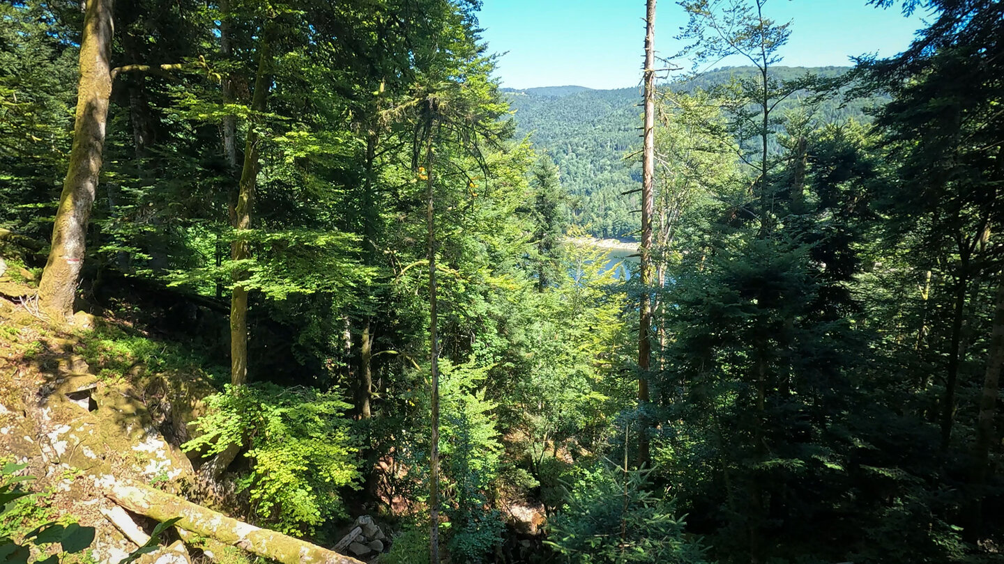 vom Wasserfall Cascade Blondel sieht man den Lac de Kruth-Wildenstein Blick vom Cascade Blondel auf den Lac de Kruth-Wildenstein