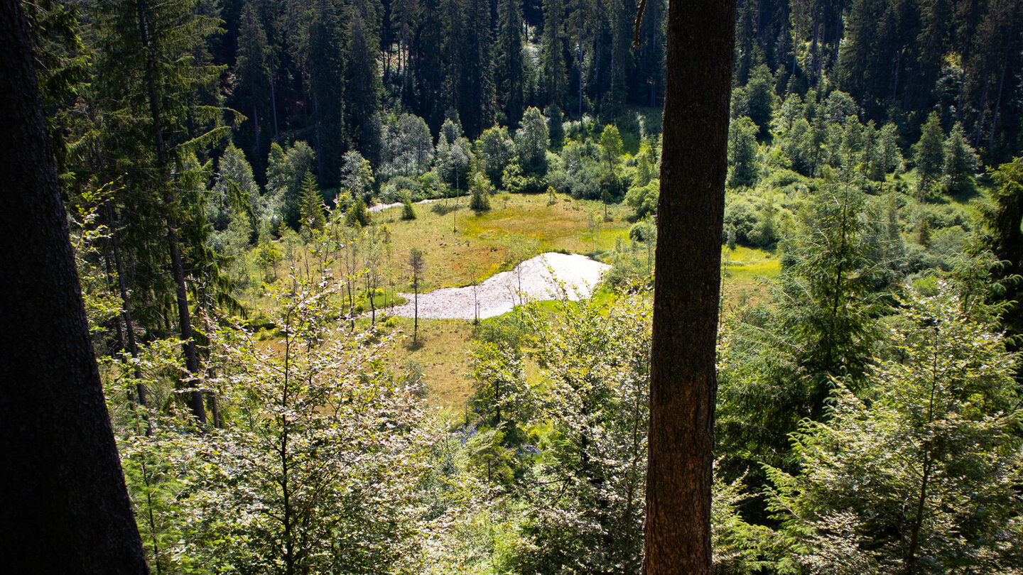 Blick von der Aufstiegsroute auf den Ellbachseee