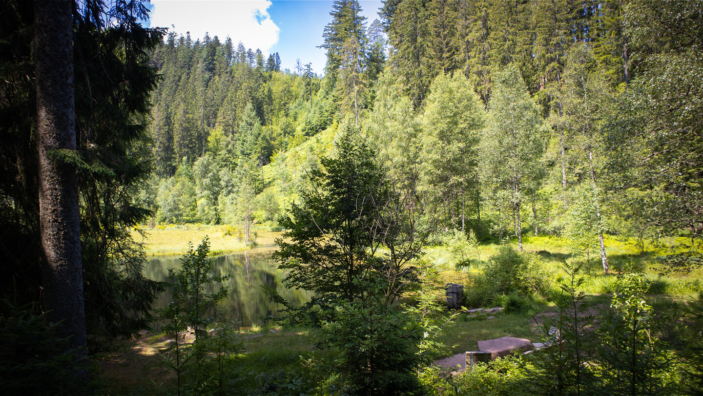 Rastplatz am Ellbachsee