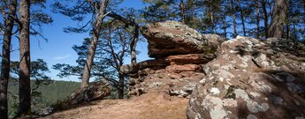 Der Kahle Felsen am Weimersberg bei Hauenstein