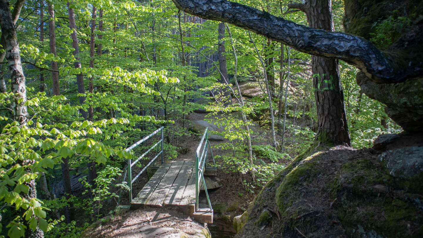 Holzbrücke auf dem Weg zur Fliehburg Backelstein