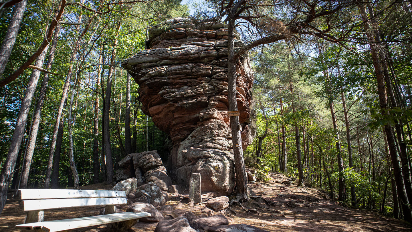 Rastplatz am Nedingfelsen zwischen Hauenstein und Wilgartswiesen