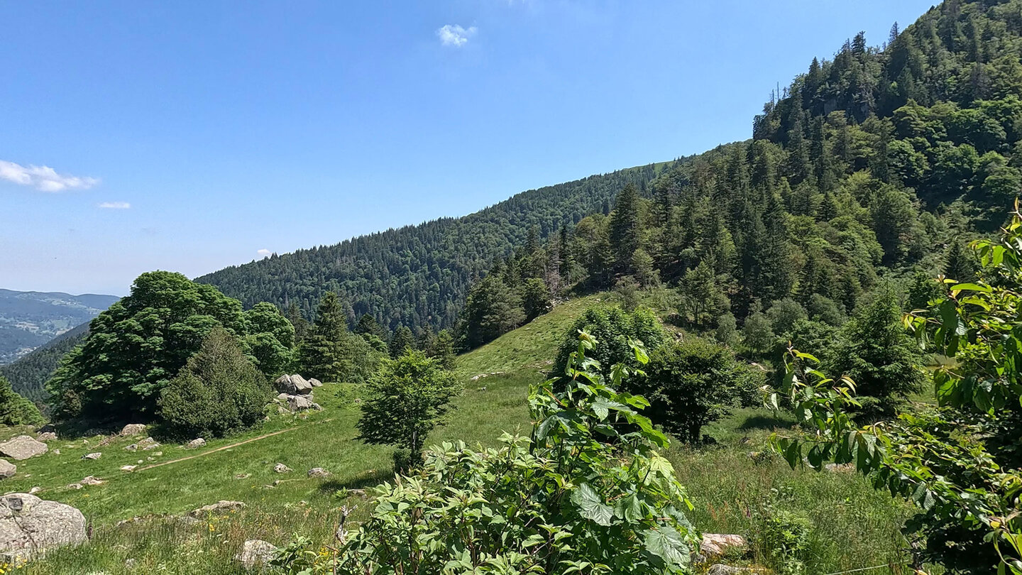 der Wanderpfad Sentier de la Bloy bei Frankenthal Wanderpfad Sentier de la Bloy bei Frankenthal