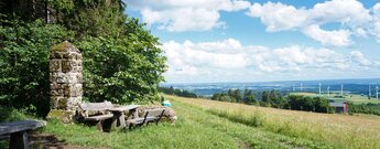 Blick über die Berg-Mähwiesenlandschaft am Vogelsberg