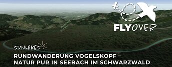 Rundwanderung Vogelskopf: Natur pur in Seebach im Schwarzwald – Flyover